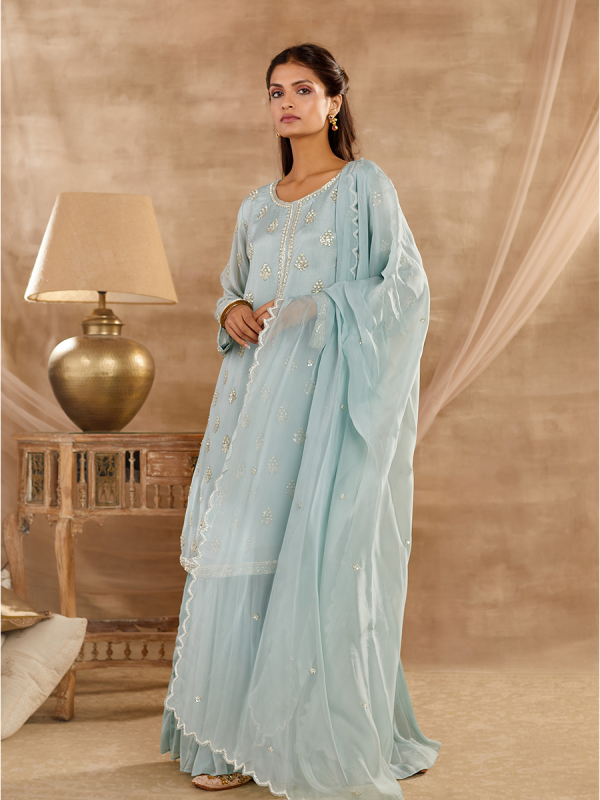 Blue Georgette Fabric With Sequin And Cutdana Work sharara set 
