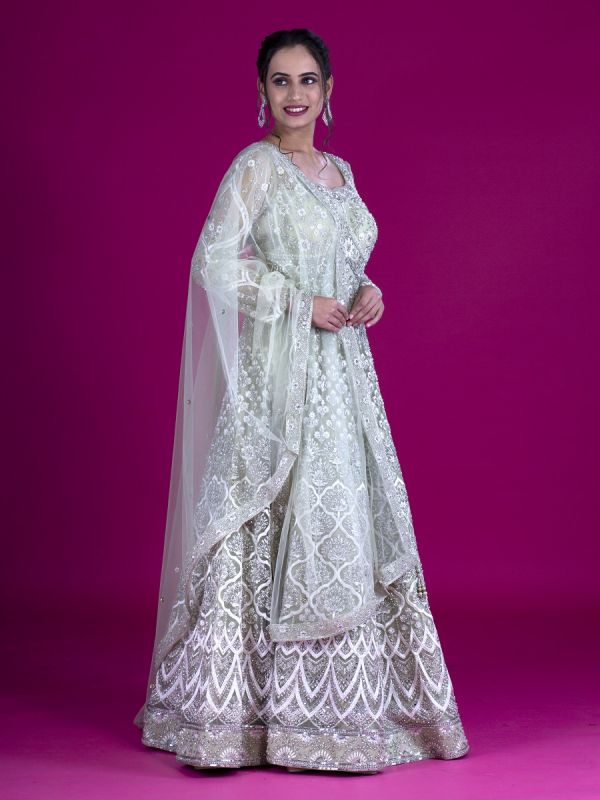 Pista Net Gown In Thread Sequence And Glass Stick With Net Dupatta